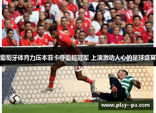葡萄牙体育力压本菲卡夺葡超冠军 上演激动人心的足球盛宴 葡萄牙体育力压本菲卡夺葡超冠军 上演激动人心的足球盛宴